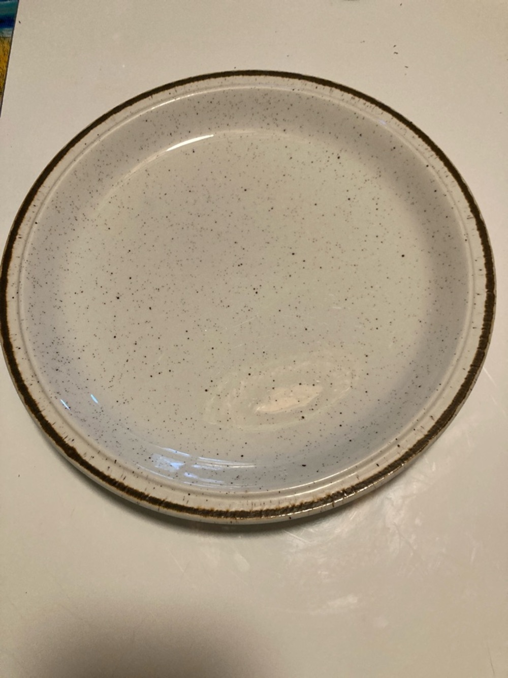 Vintage royal Tudor Speckled White Ceramic Dinner Plate with Brown Rim set of 2